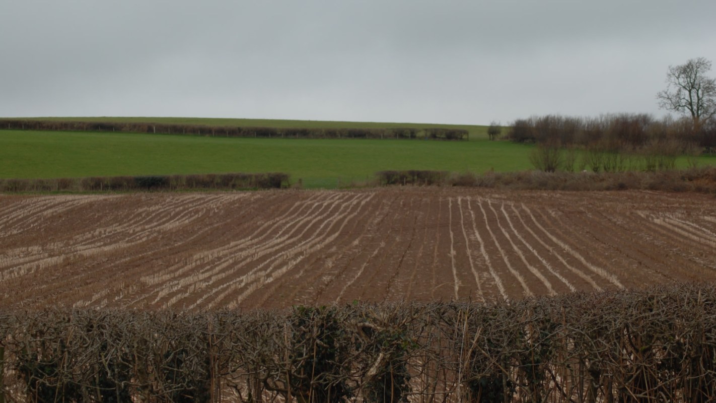 Anyone can take local action by using a smartphone to capture and report incidents.