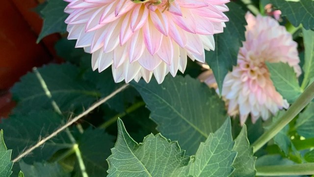 "I find their presence to be the highest compliment."