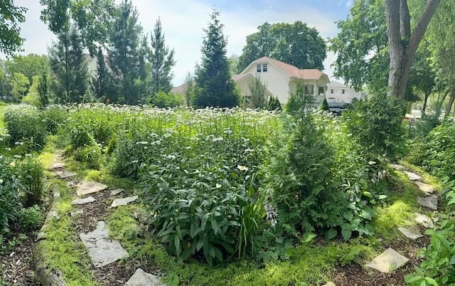 "That's absolutely gorgeous."