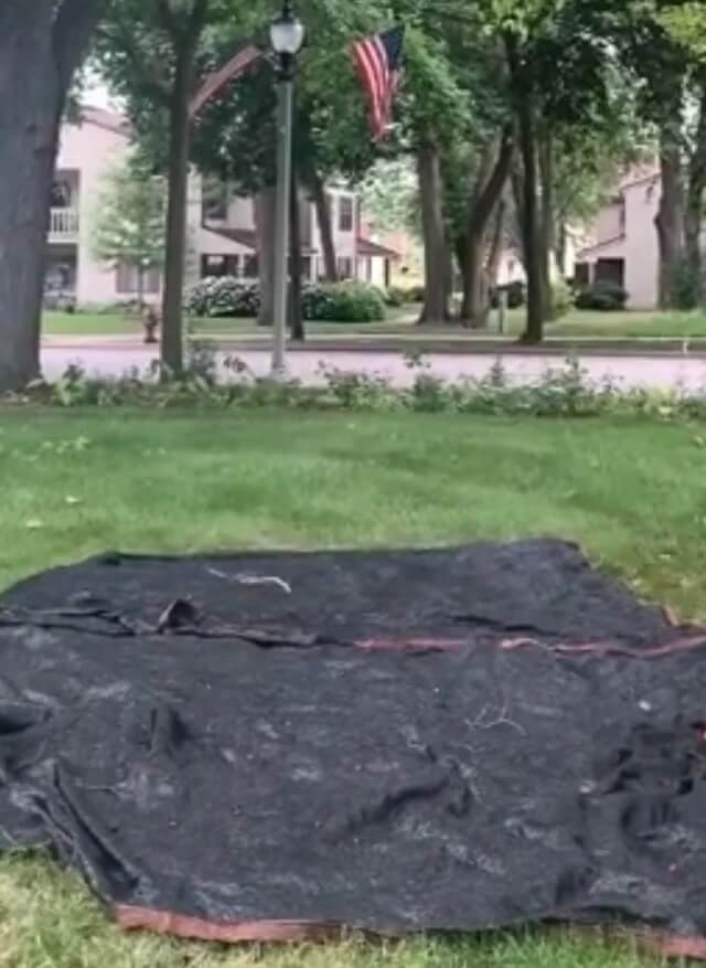 "That's absolutely gorgeous."