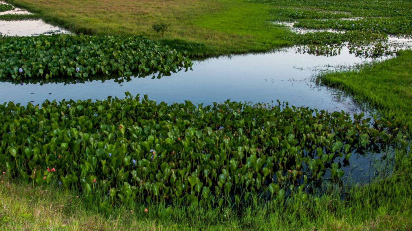 "The kiddie pool is brilliant."