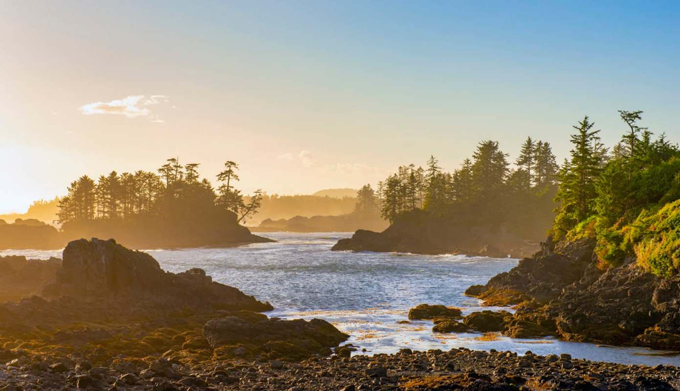 "I just let go of my camera and I let it have it for a couple of minutes."