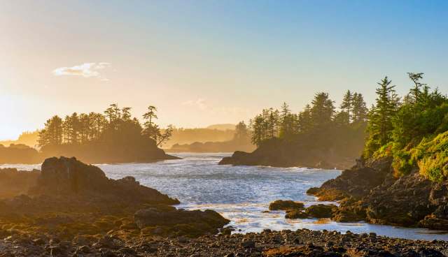 "I just let go of my camera and I let it have it for a couple of minutes."
