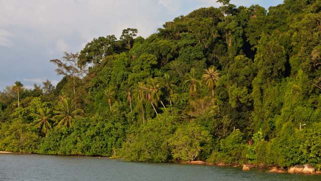 "The findings underscore the importance of further research."