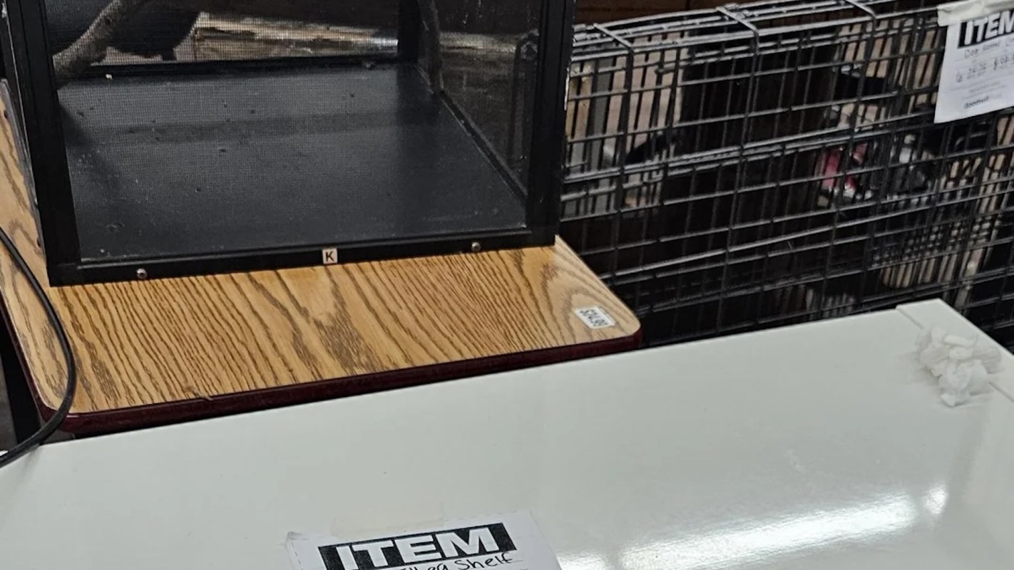 "You're almost doubling the price."