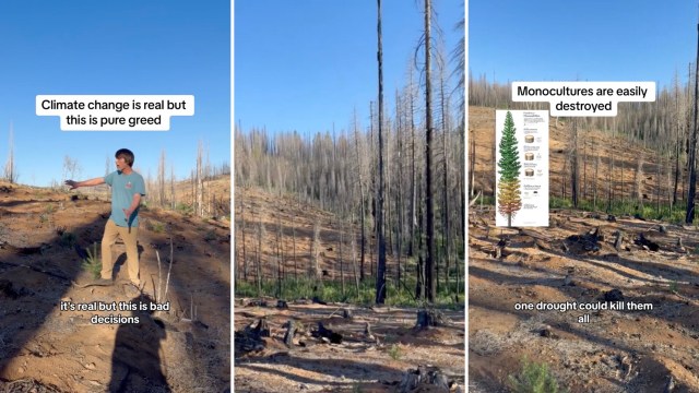 "We need to do so much better."