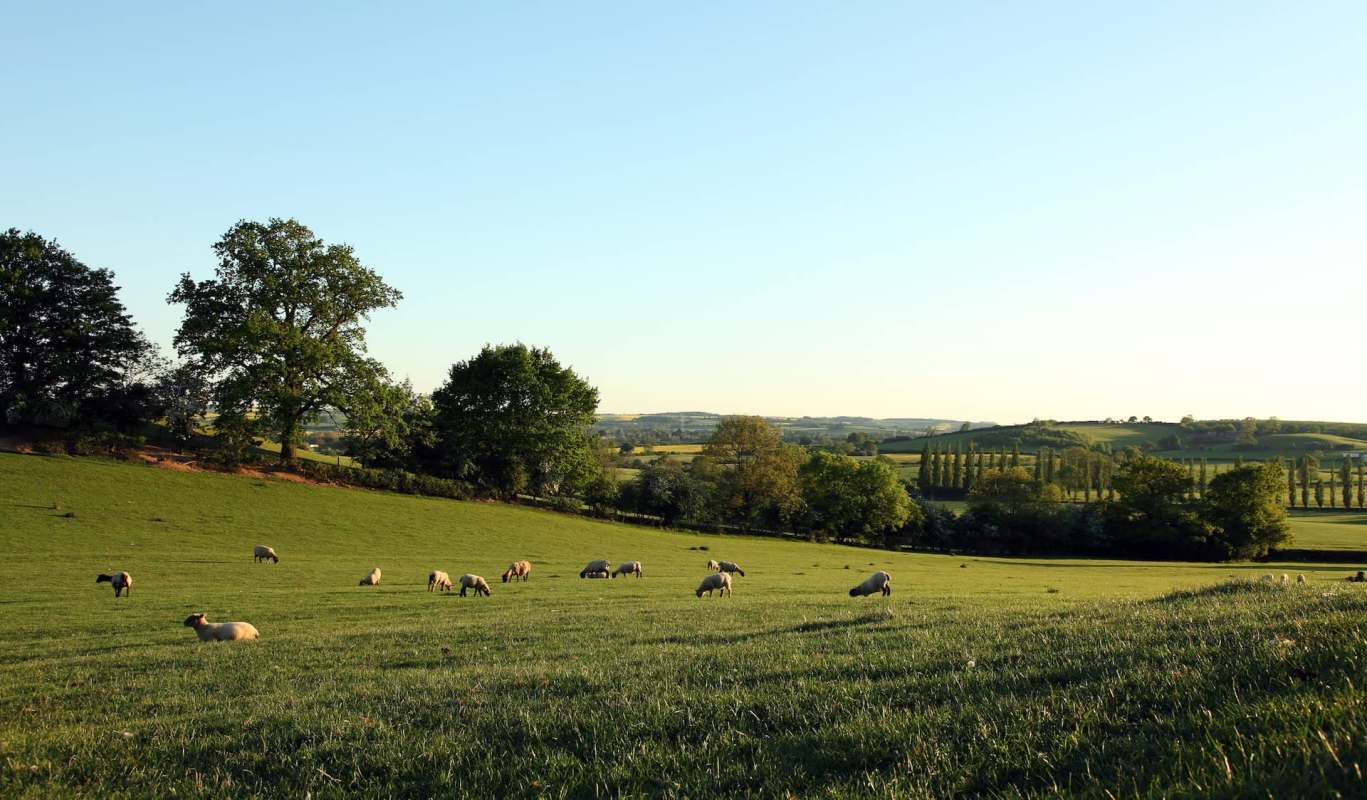 "We're having to try and work out how to adapt."