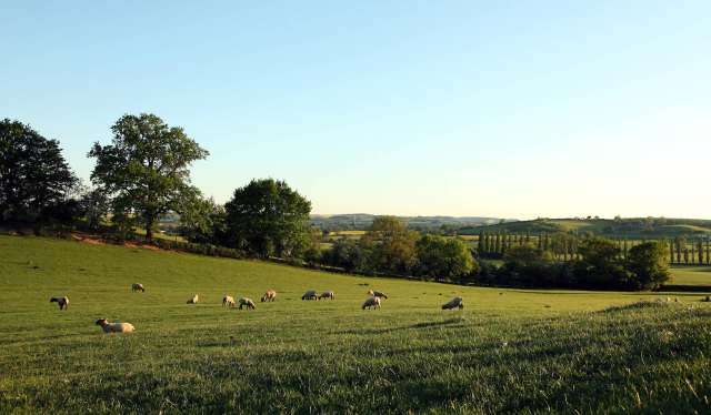 "We're having to try and work out how to adapt."