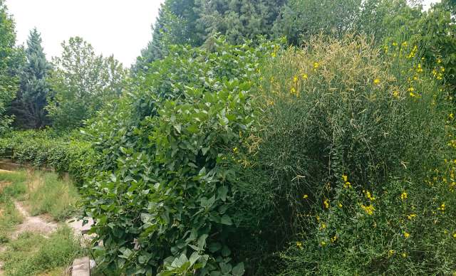 "It's vital to remember."