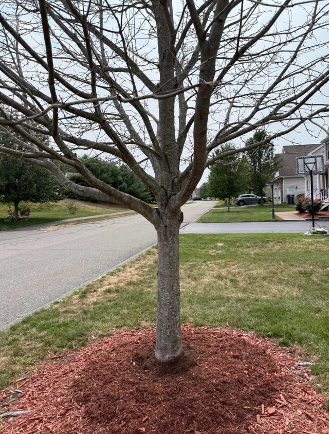 "I will review carefully."