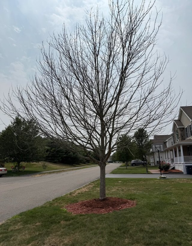 "I will review carefully."