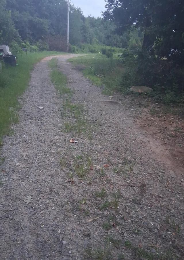 "You need to talk with the neighbor."