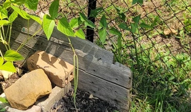 The post quickly struck a nerve.