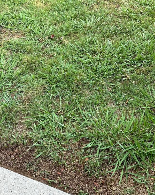 "This is not right. I'd fight that."