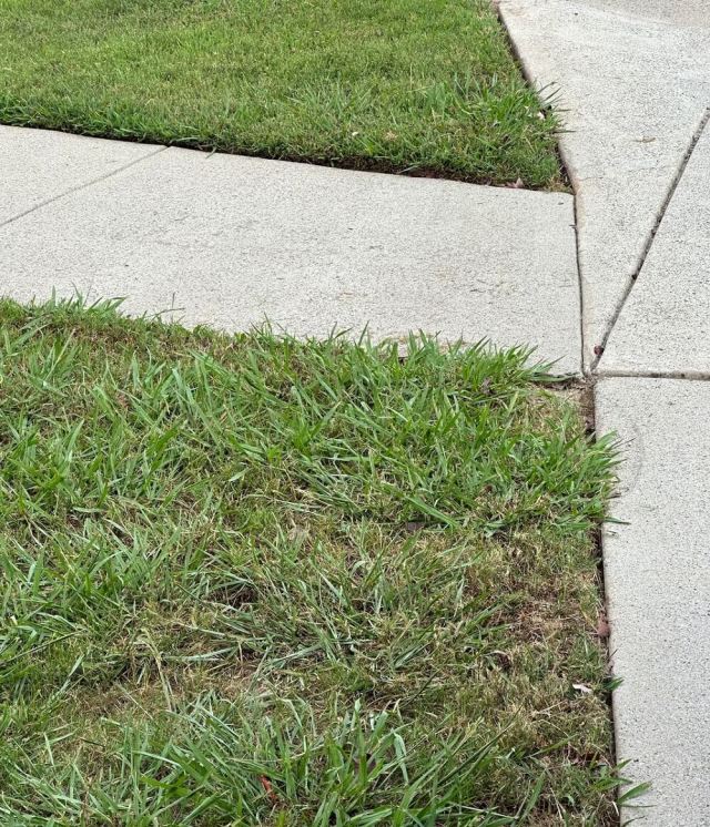 "This is not right. I'd fight that."