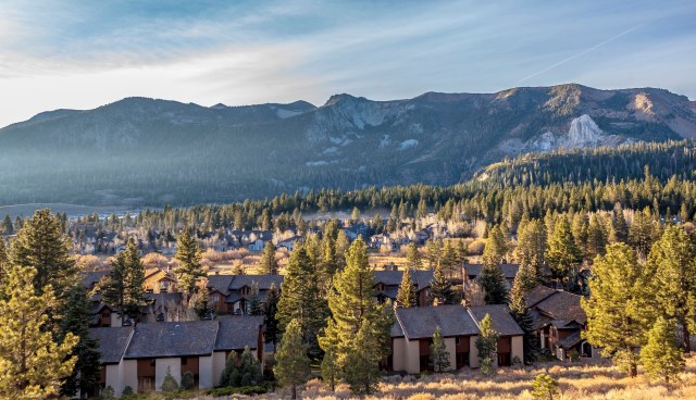 Many are forced to choose between paying premiums or buying groceries.