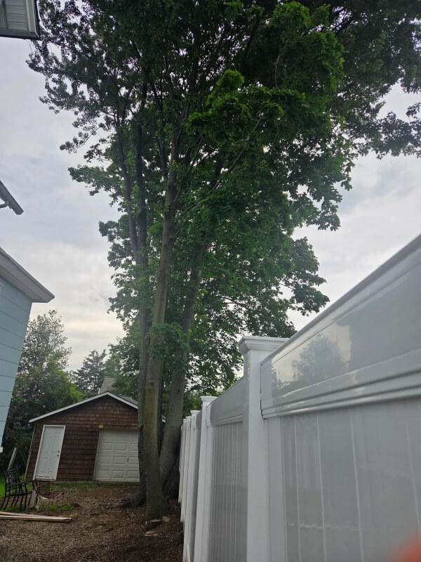 "They're crossing boundaries."