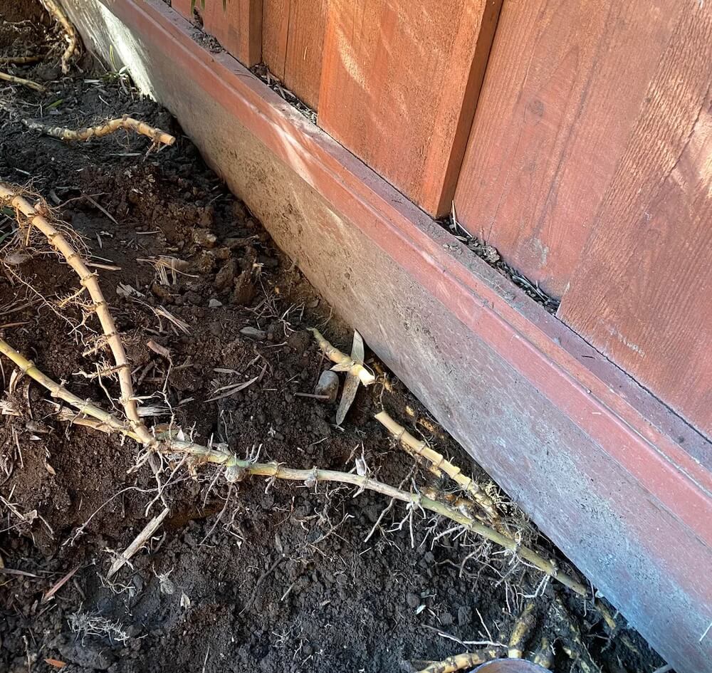 Others were quick to offer support.