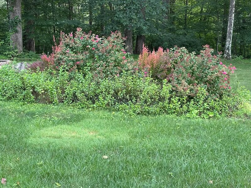 "It's also pretty exciting."