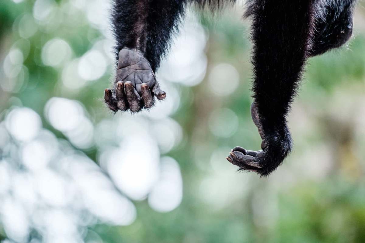 "It is quite shocking."