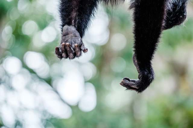 "It is quite shocking."