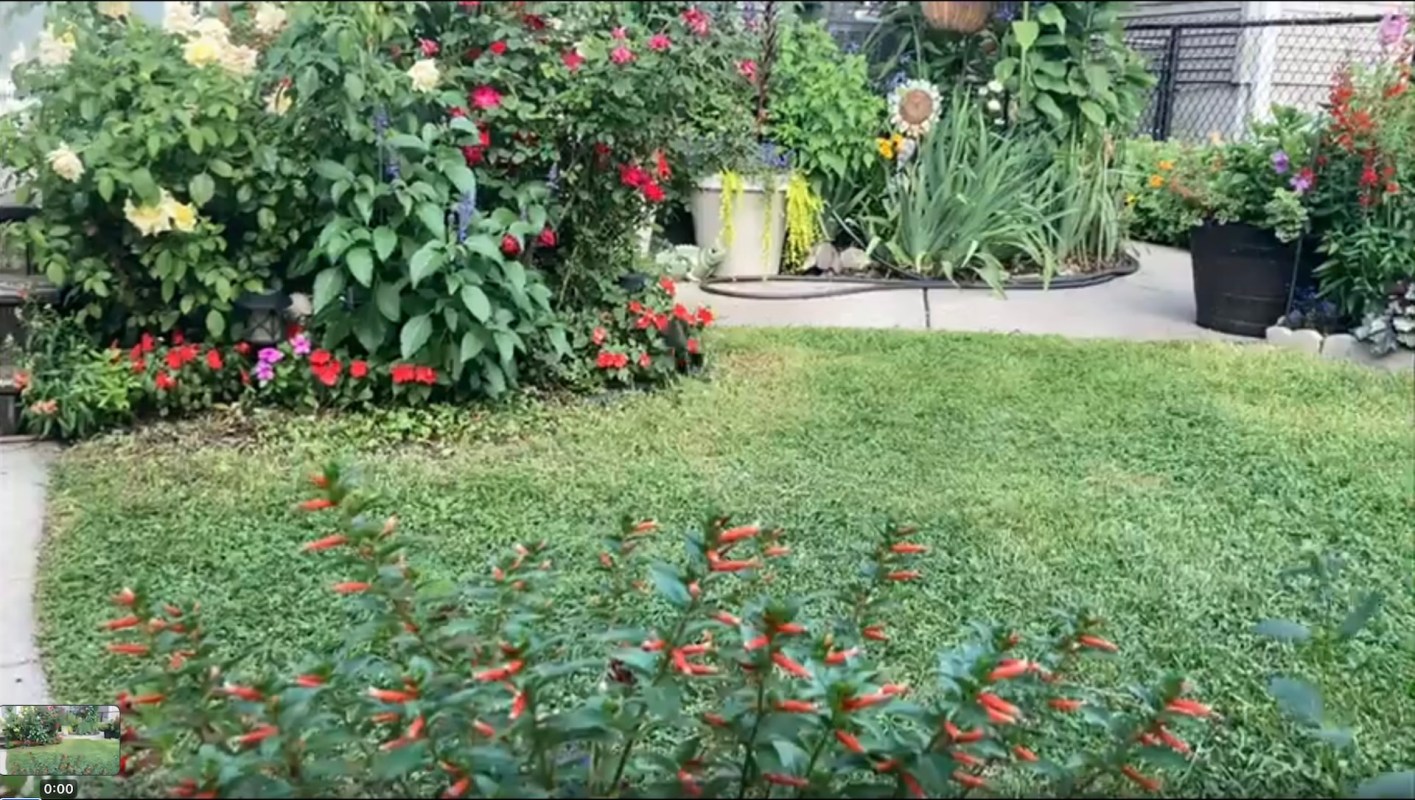 "What a busy lil guy!"