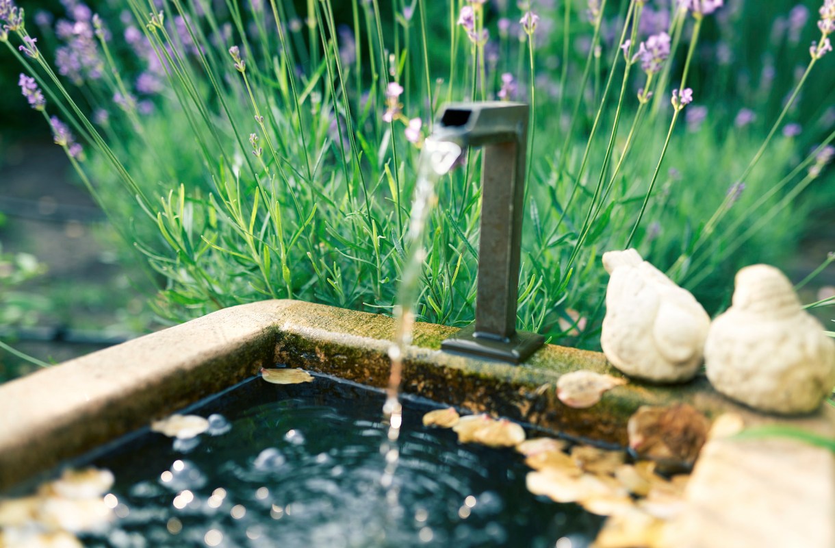 "This made me smile so much!"