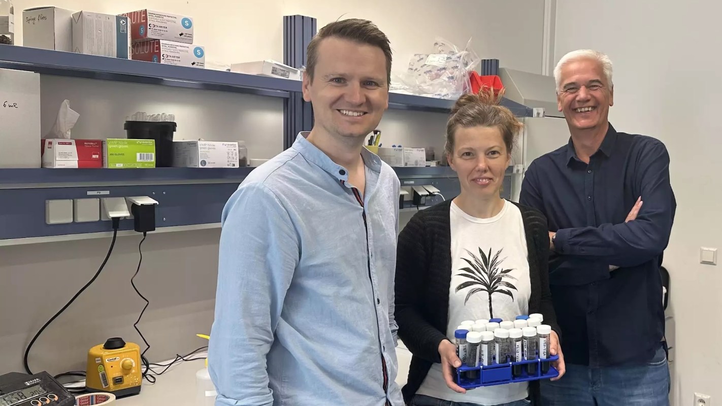 "We are now working on a clever solution."