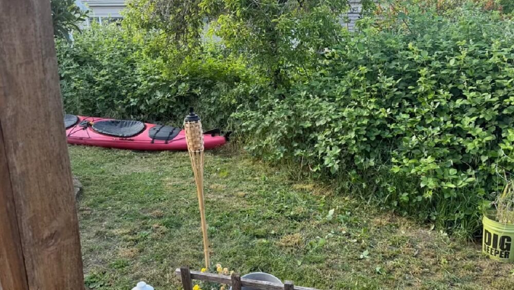 "For 5 years I've been keeping them at bay."