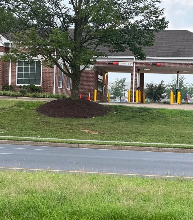 "Why is this a thing?"