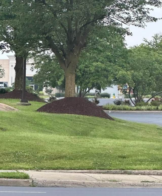 "Why is this a thing?"