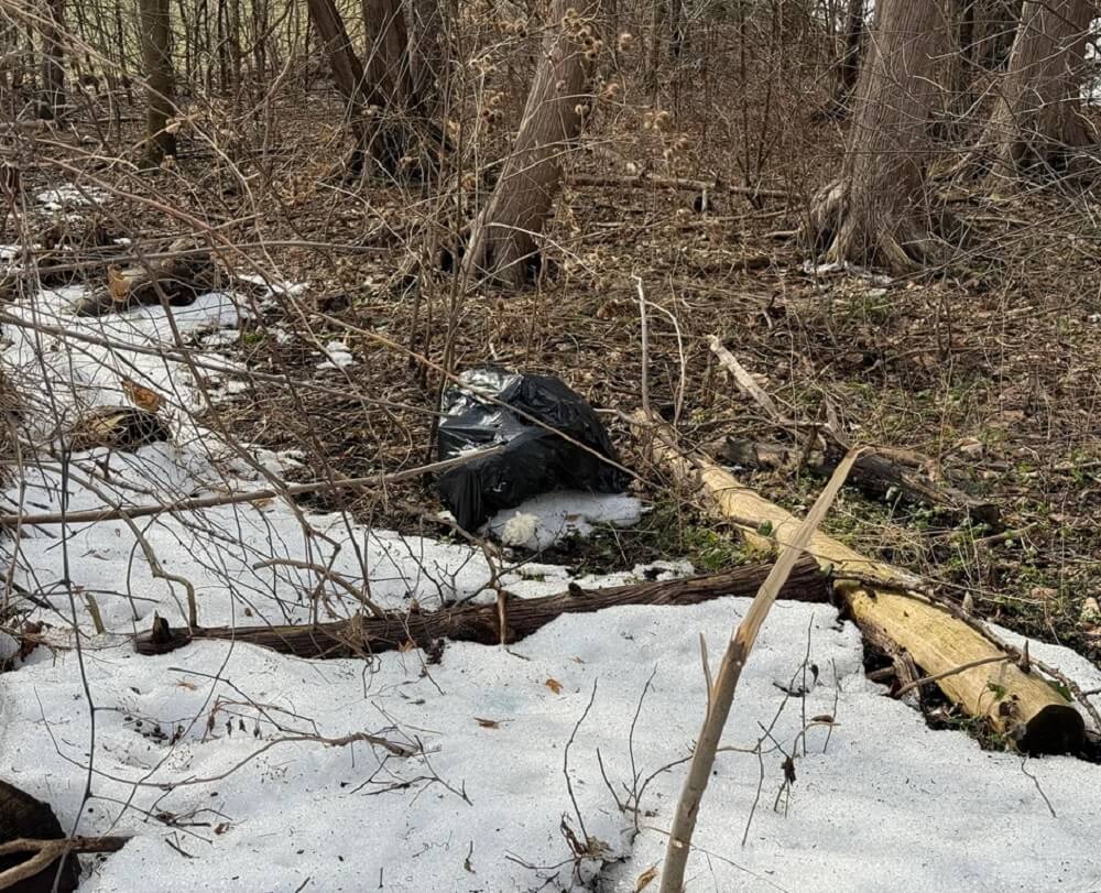 "It's truly disturbing to me."