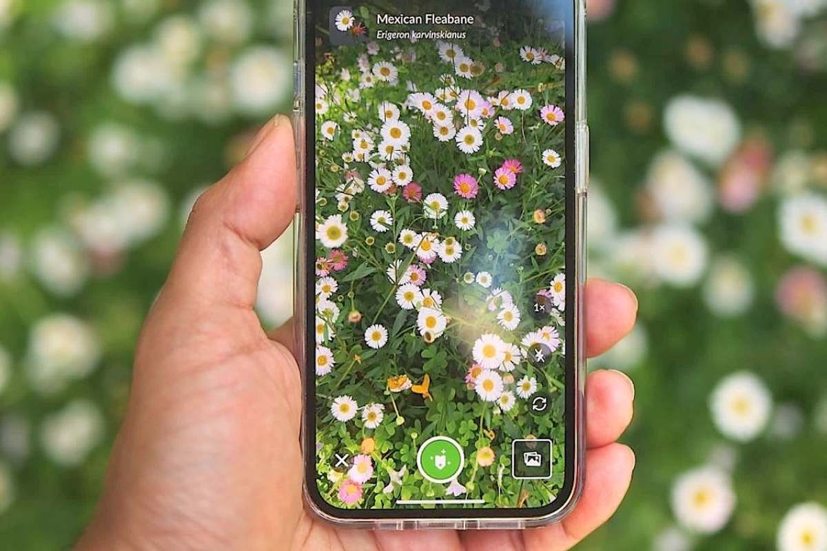 Even the late Charles Darwin relied on a vast network of friends, family, staff, and others.