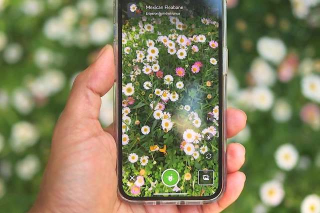 Even the late Charles Darwin relied on a vast network of friends, family, staff, and others.