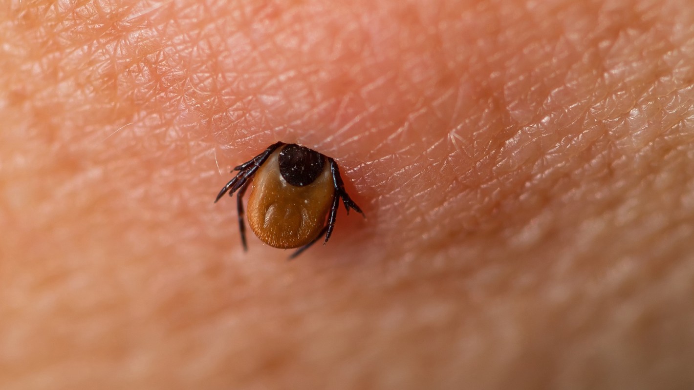 "I'm not a big red-meat eater. But the dairy is, like, tragic."