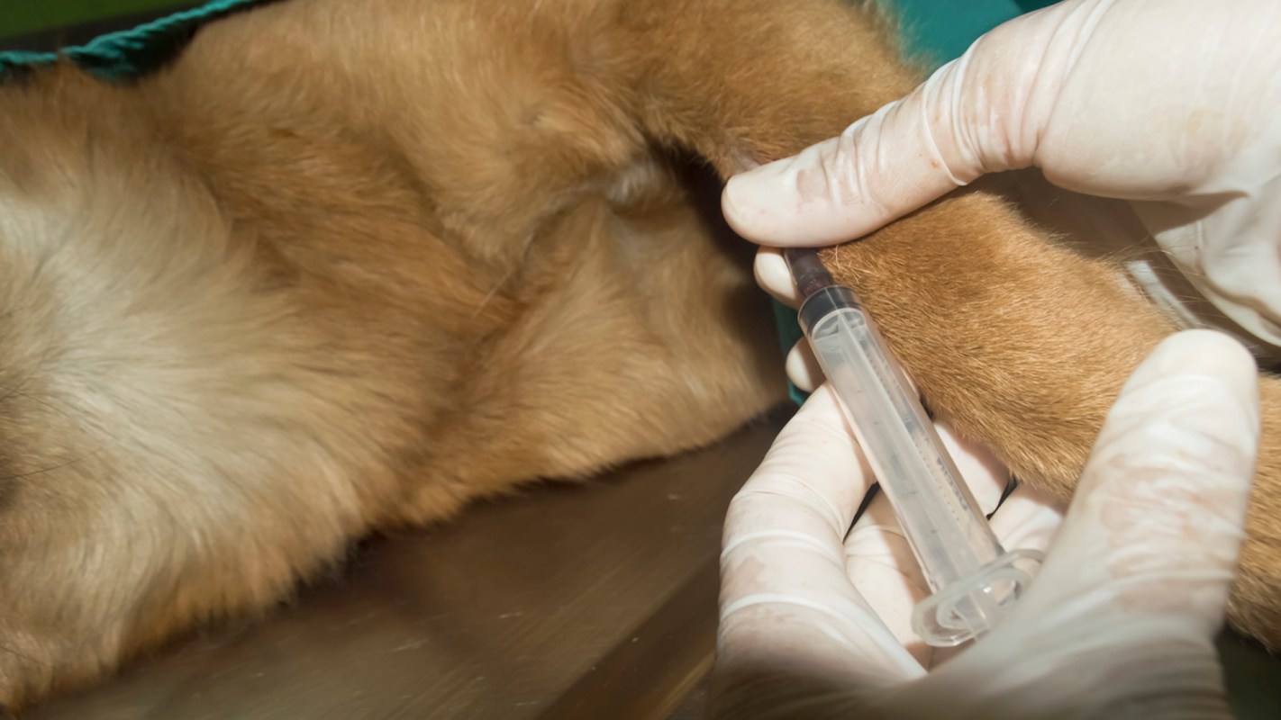 "What a brave girl."