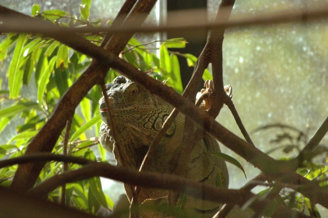 "You don't have to get this from a factory farm (and) have it shipped across the country. It’s here."