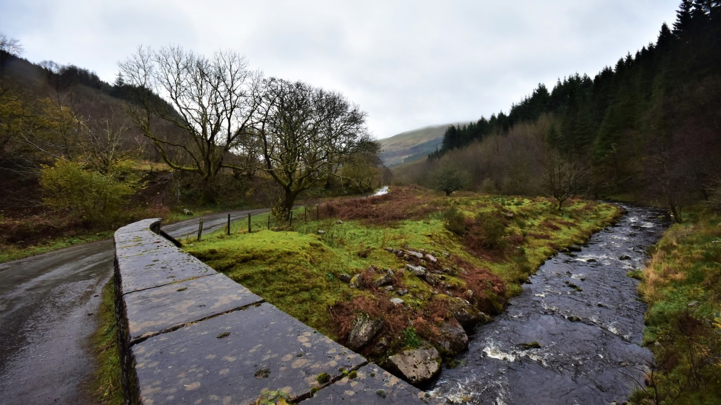 "This is yet another disappointing case."