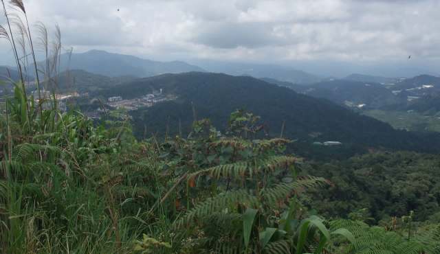 Many jurisdictions have proposed or enacted bans.