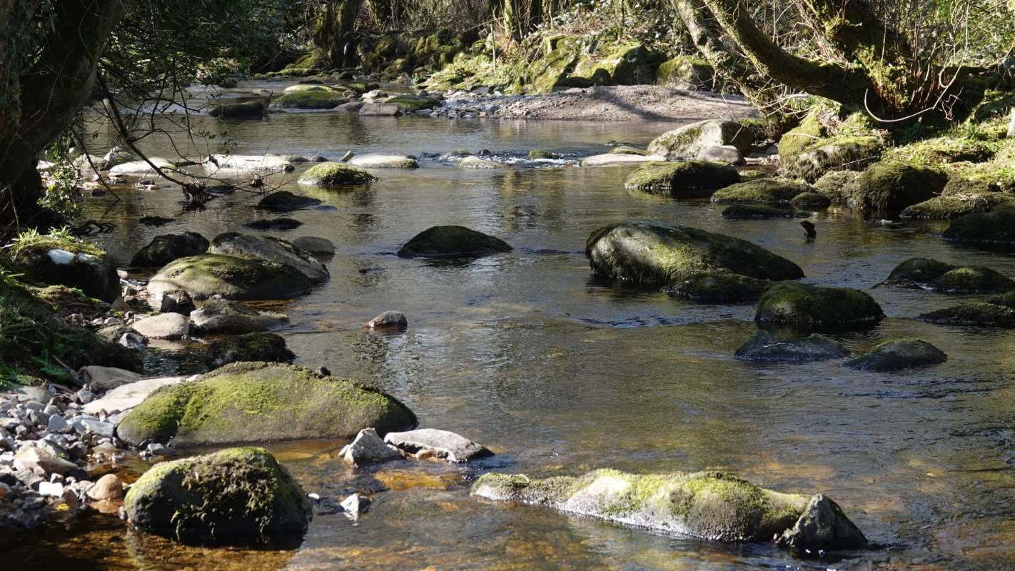 "Putting the local environment at risk and impacting on the local community."