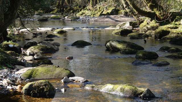 "Putting the local environment at risk and impacting on the local community."