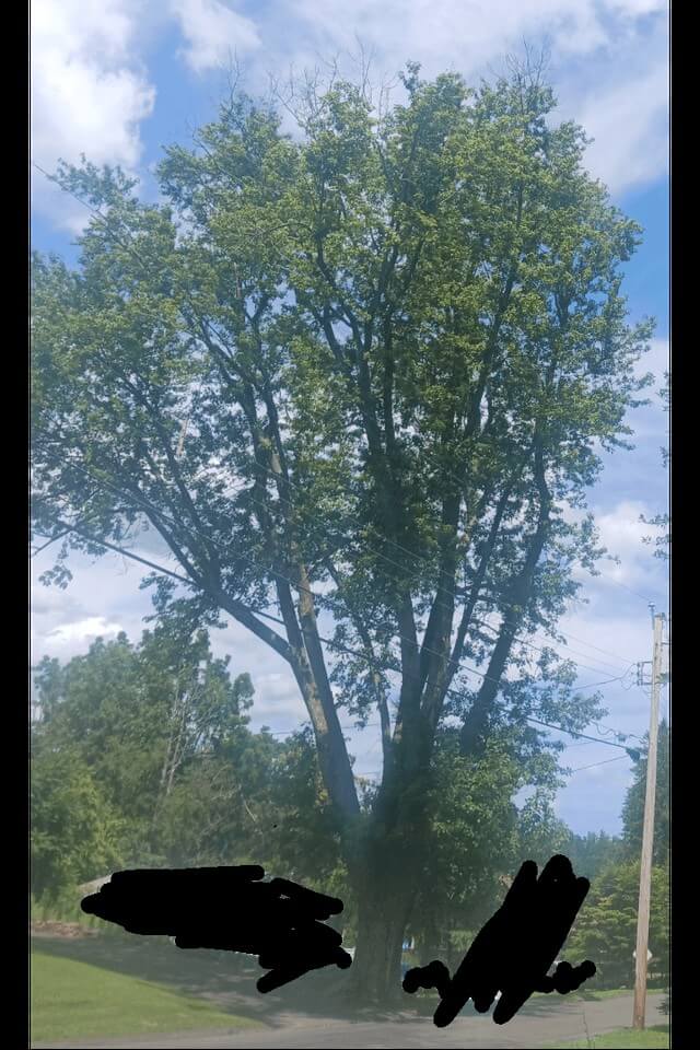 "They moved out a month later."