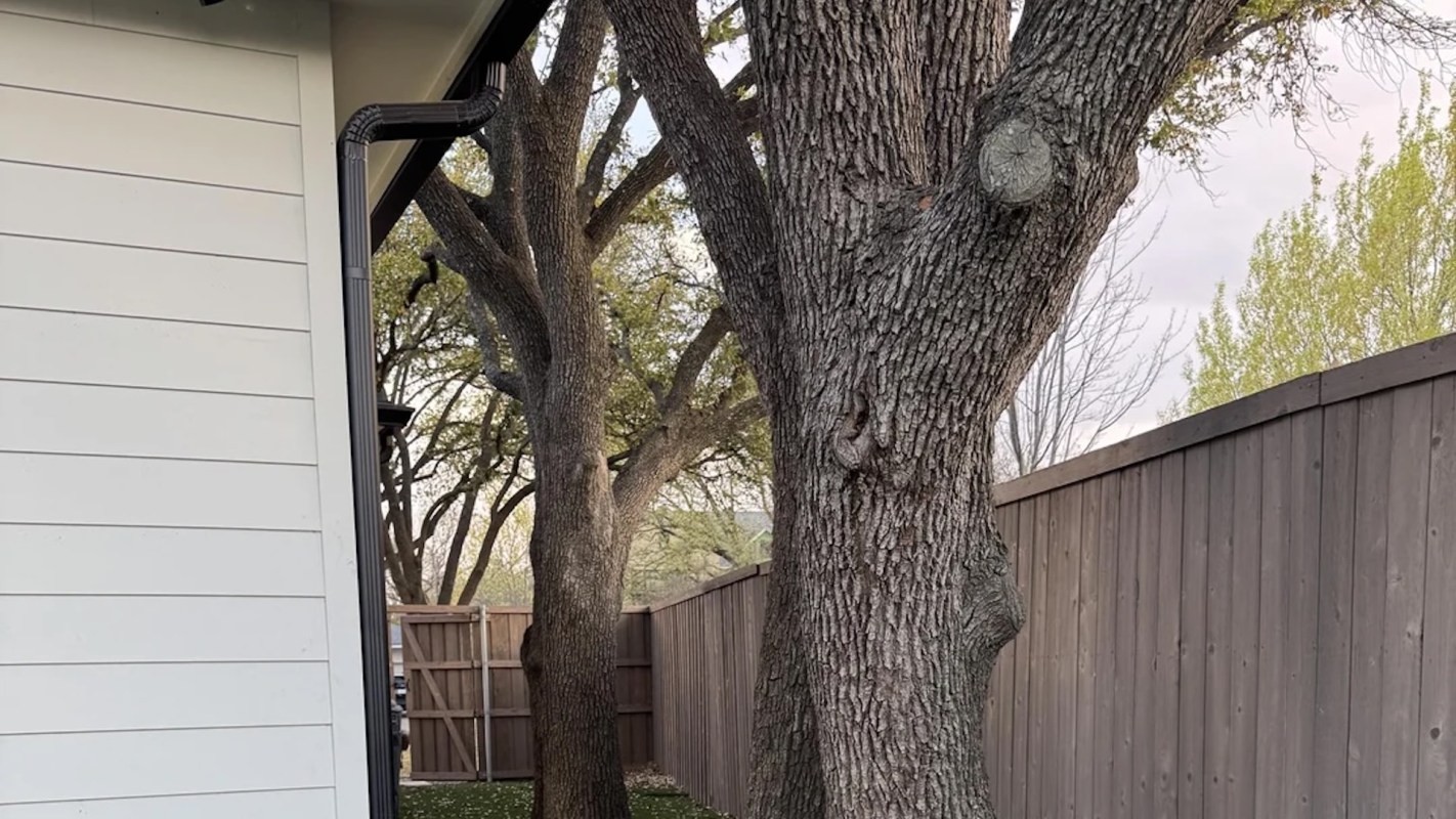 "Honestly the least of OP’s problems."