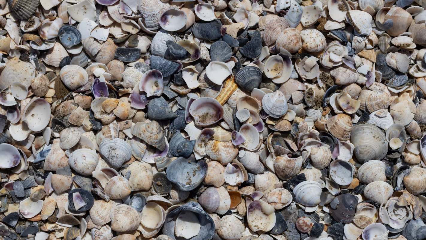 "Need to think twice."