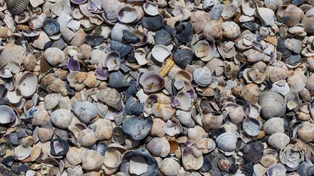 "Need to think twice."