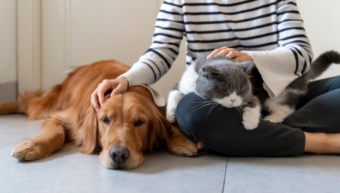 "We are seeing a lot more excitement."