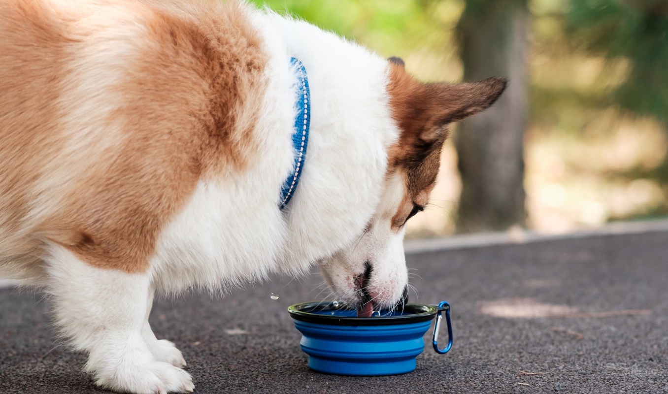 There are many potential long-term effects.