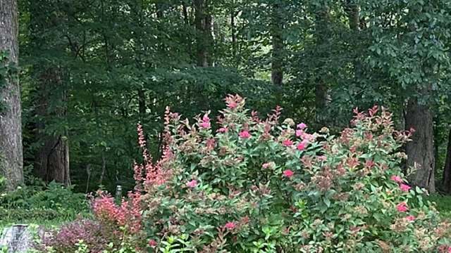 "It's also pretty exciting."