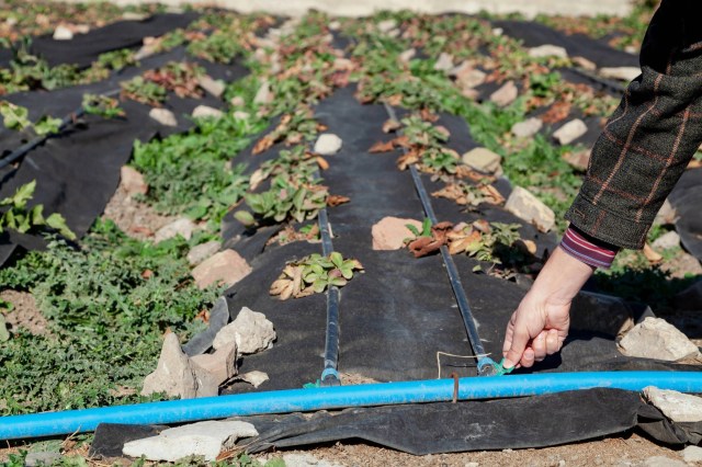 "The longer it sits in there, the more difficult it will be to remove later."