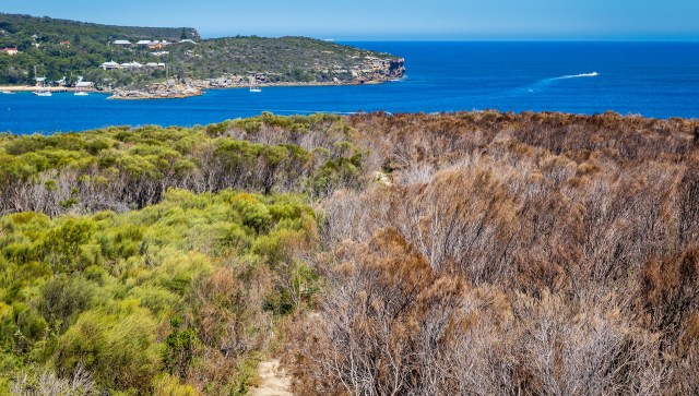 The footage could be a hopeful sign.